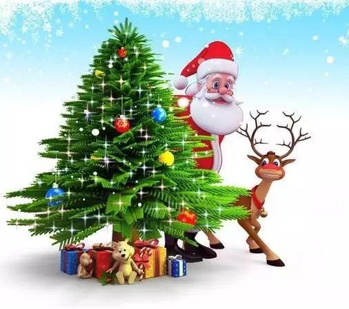 圣诞树蜡烛：美丽与价格的碰撞