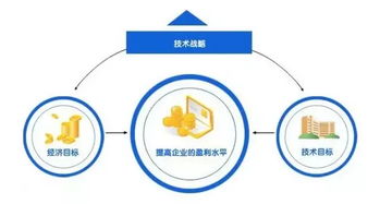 eMAG物流挑战与应对策略