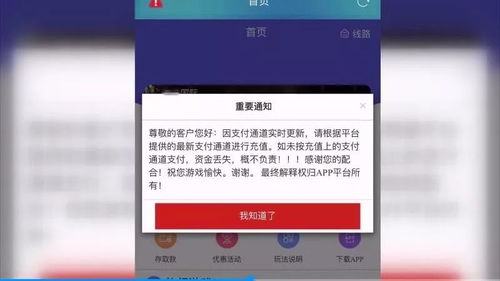 充值成功后的资金流向