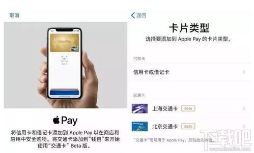 3. 在“Wallet & Apple Pay”页面关闭