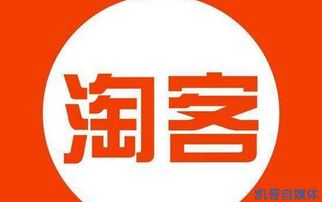 四、受众群体与推广策略