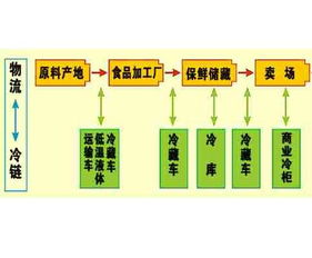 三、 降低运输成本的三大技巧