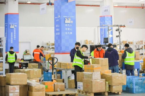 阿里国际站发货时效解析与平台标准