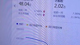 三、 直通车托管的具体服务内容