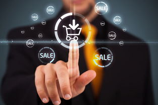 一、 电商的不同类型与投资需求解析