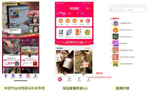 二、活动节奏概述