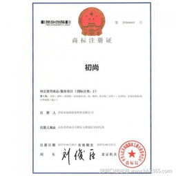 续展费用及其重要性