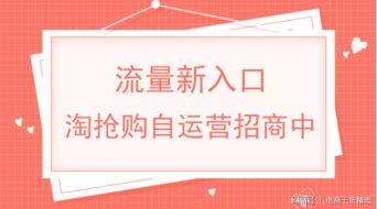 流量获取与卖家运营