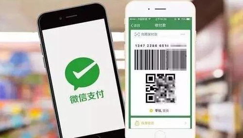 支付方式的多样性