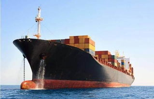 整柜运费：舱位资源的“时段定价”