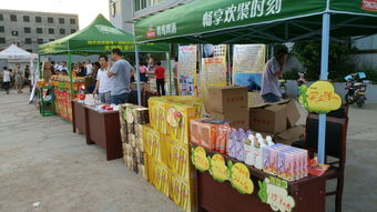 欧洲玩具市场细分品类分析