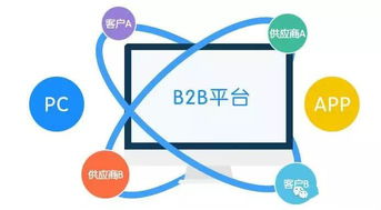 选择一个合适的B2B平台