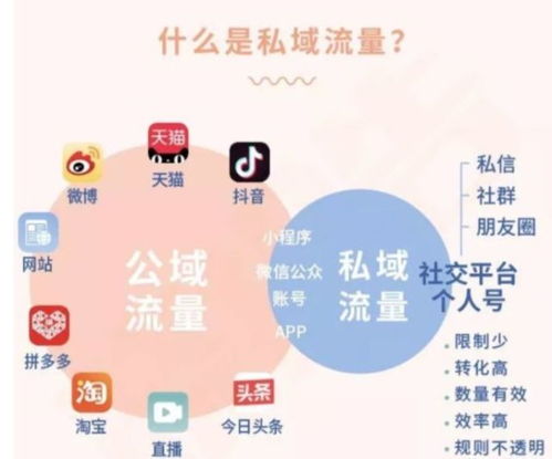 1. 提高店铺流量， 助力品牌推广