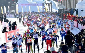 冰雪旅游市场的细分与用户画像