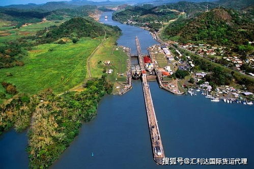 风险评估与动态对冲