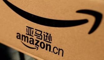 保持冷静与礼貌，明确表达需求