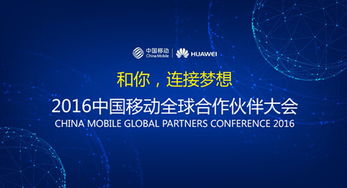 一、 Ozon全球技术合作伙伴概述