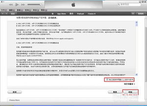 二、 Ozon平台概述