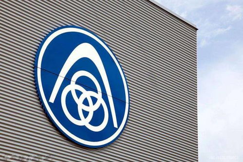 选择一个独特的品牌名称至关重要