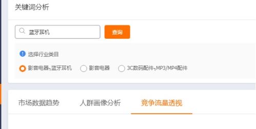 四、 投放的地域选择