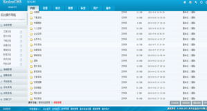 4. 内容版本控制