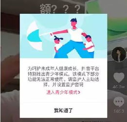 严格审核机制：抖音对退款请求进行严格的审核，确保符合退款条件
