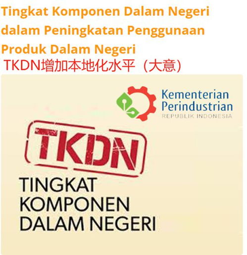 1. 精选独家产品