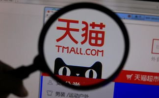 软件服务年费：天猫店铺经营的基本费用