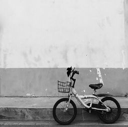 象征价值与社会心理