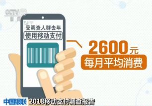 四、 境外使用注意事项