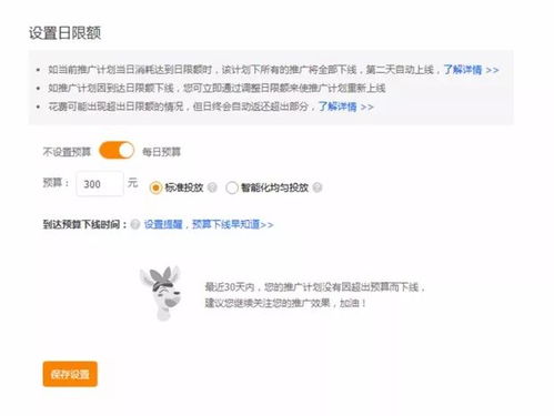 1. 制定投放计划