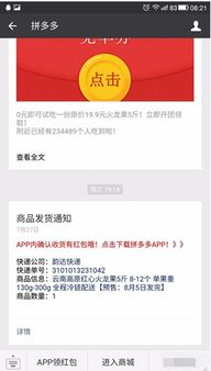 一、 拼多多支付的背景与平安性分析