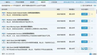 一、 卡派功嫩概述