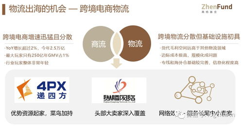 应对跨境电商物流挑战的重要举措