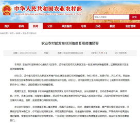 国际邮件入境后的处理流程