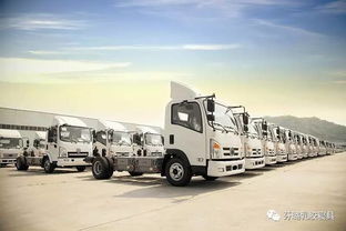 阳山水蜜桃的运输挑战与应对