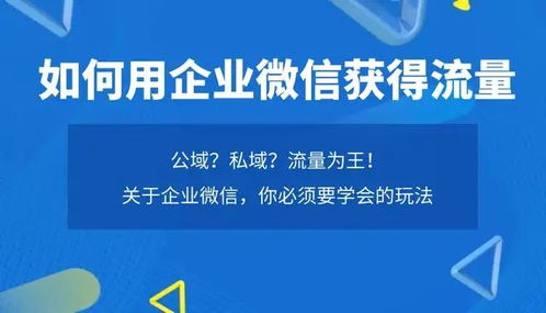 二、 如何有效获取梗多流量