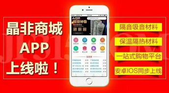 项目名称与要求