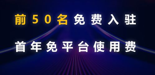 五、天猫与商家之间的选择