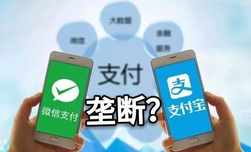四、 支付宝在欧洲的优势