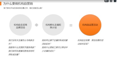 双12预热与活动节奏