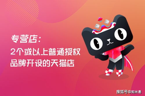 2. 专营店适合的品牌