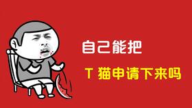 天猫代入驻流程及注意事项