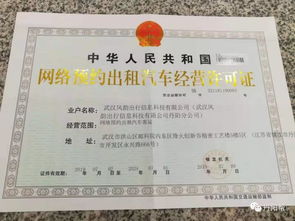 一、 新Neng源汽车出口概述