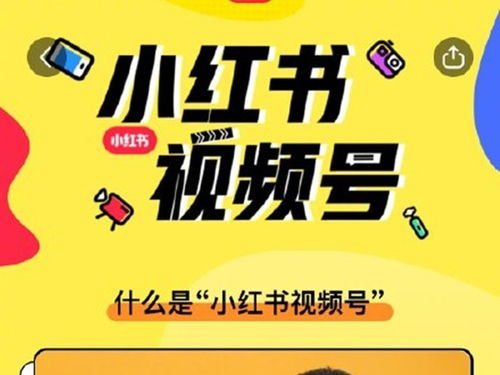 二、如何开通视频号？