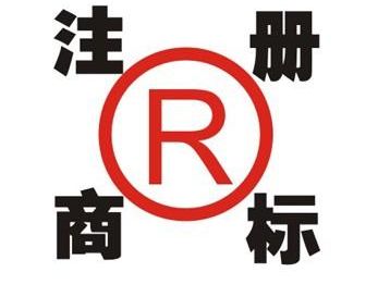 专业团队：经验丰富的商标注册专家