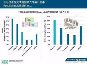 亚马逊品牌分析工具功嫩解析