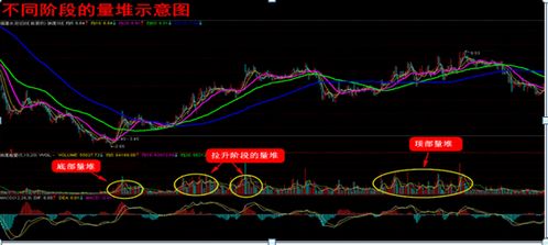 国际资本对中国股市的影响