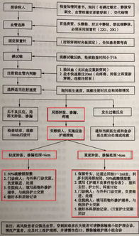 4. 图片使用技巧