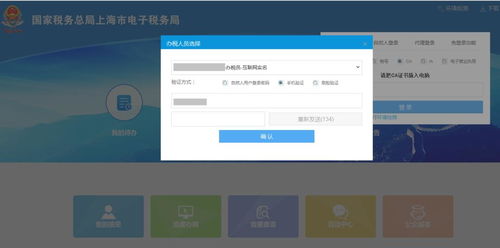 1.1 公司类型选择
